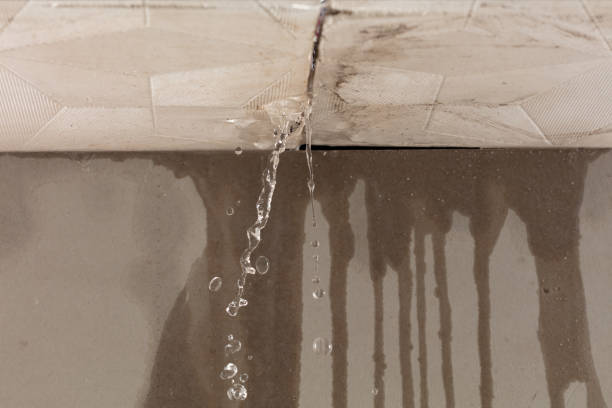 Professional Burst Pipe Cleanup technician working in Stantonville, TN
